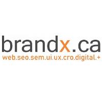 Brandx Digital Marketing & SEO image 1